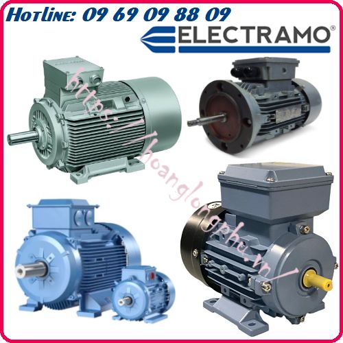 nha-phan-phoi-dong-co-electramo